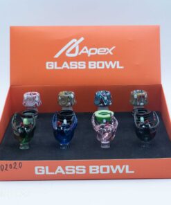 Apex Fancy Bowl Display 12CT BD 2020